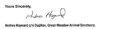 green-meadow_03