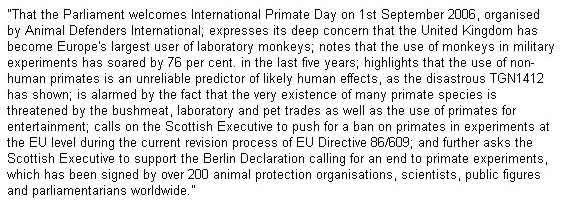 monkey_experiments_16