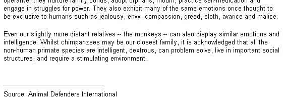 monkey_experiments_20